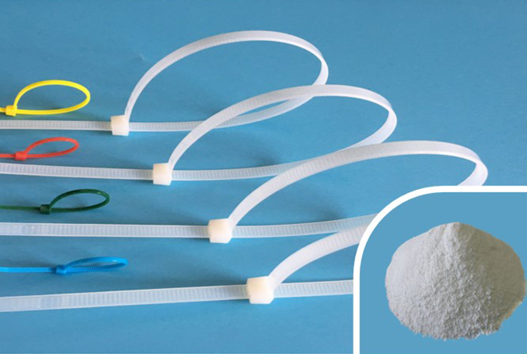 Agente nucleare XS-CH-101 per PA